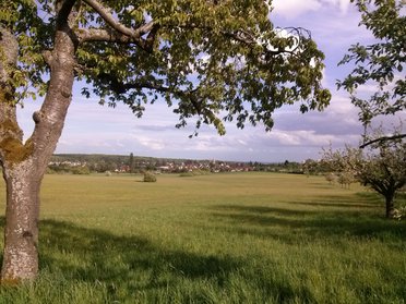© YEycan, CC BY-SA 3.0 Das Kirdorfer Feld – ein toller Ausflug rund um Frankfurt