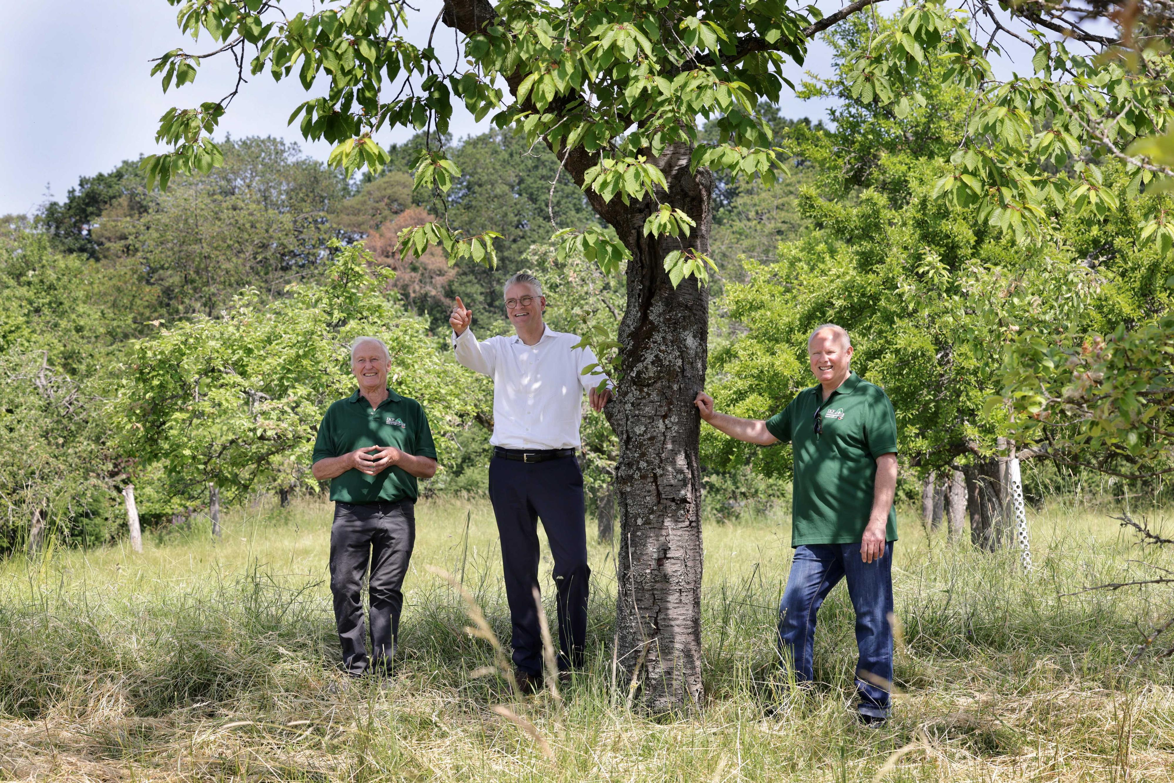 Kooperation Interessensgemeinschaft Kirdorfer Feld_Streuobst_16062021