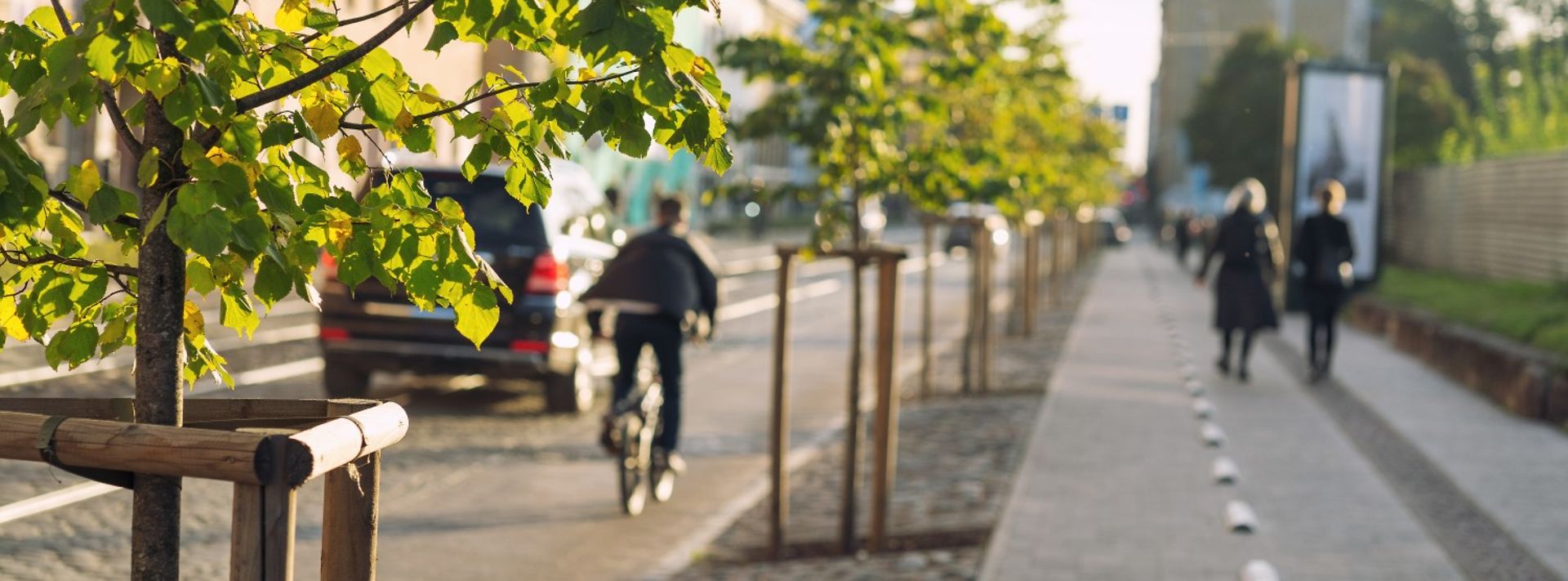 Rad- und Fußgängerweg neben einer Straße im Grünen