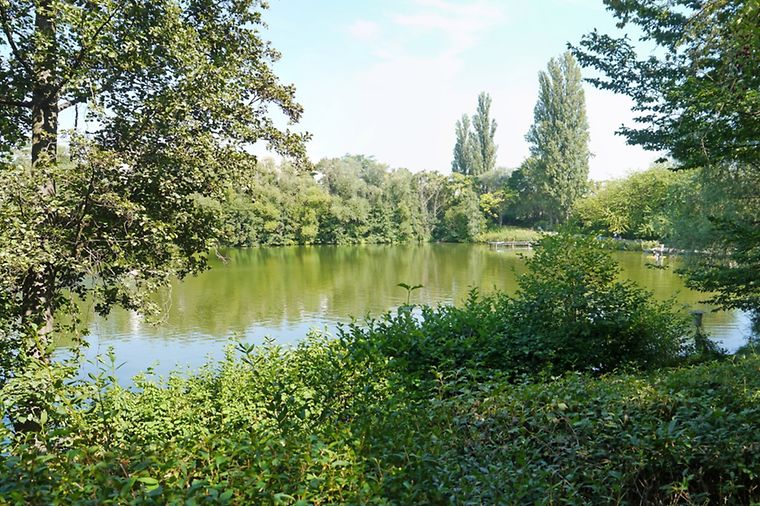 © de.wikipedia.org/wiki/Schwedlersee Schwedlersee in Frankfurt