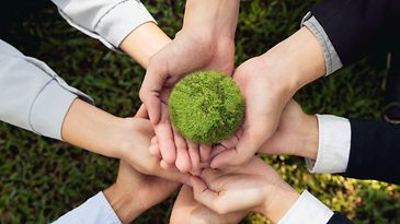 8 Hände ineinander gelegt und von oben fotografiert. Sie halten gemeinschaftlich eine Weltkugel aus Moos