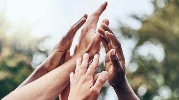 Hände verschiedener Hautfarben, nach oben gereckt, vor unscharfem grünen Hintergrund.