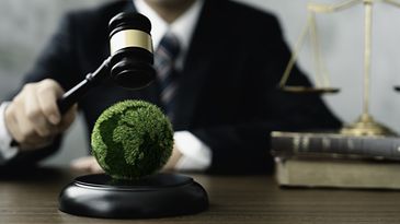 © www.istock.com/Khanchit_Khirisutchalual Ein Gerichtshammer wird über einem grünen Erdball geschwungen