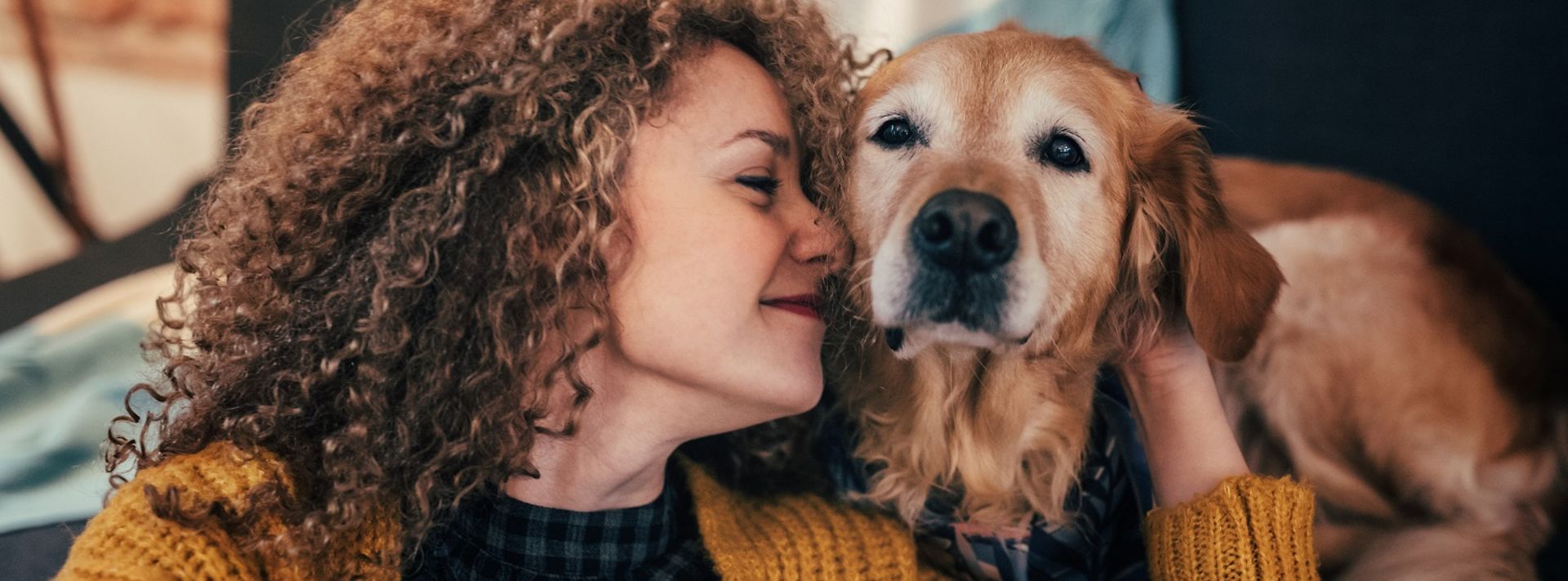 © www.istock.com - filadendron Frau streichelt einen Golden Retriever in einer warmen Wohnung