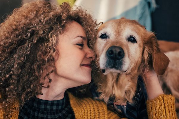 Frau streichelt einen Golden Retriever in einer warmen Wohnung