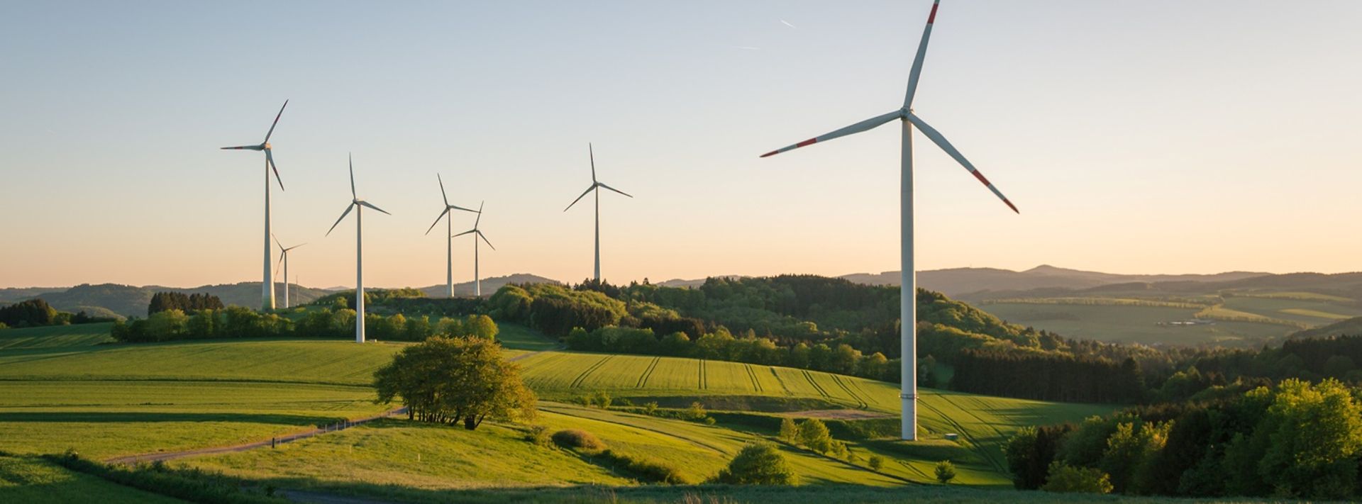 Windräder in einer grünen Landschaft
