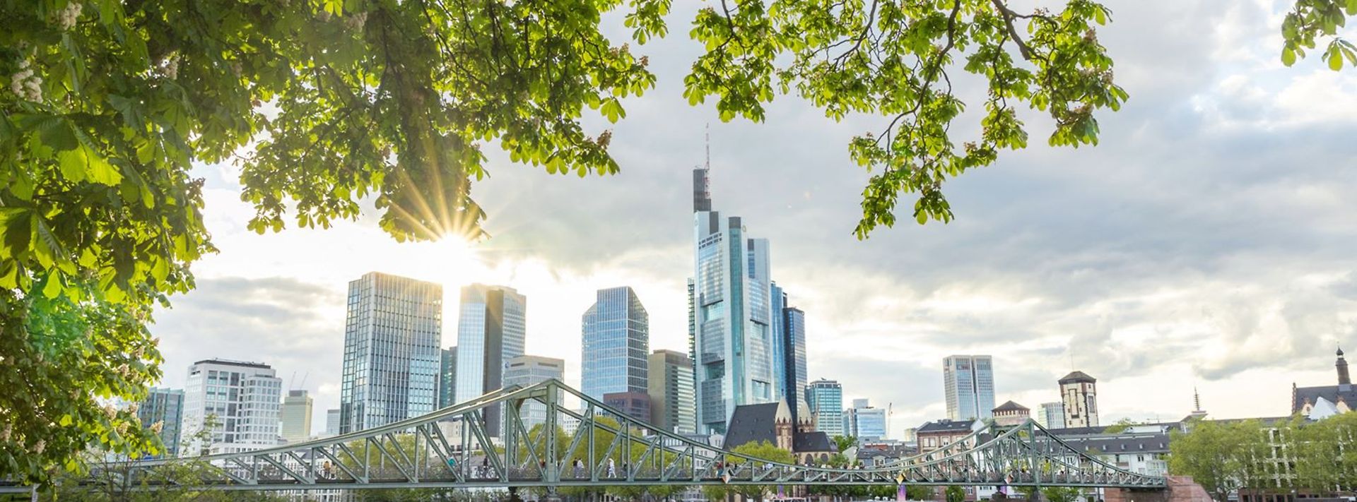 frankfurter Skyline im Hintegrrund, grünes Laub und der Main im Vordergrun