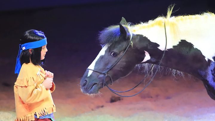 Links Yakari und er schaut das schwarze Pferd rechts an
