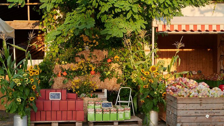© Obsthof am Steinberg Sonnenblumenstand mit Apfelsaft-Angebotsschild, Heu und anderen Pflanzen
