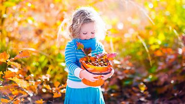 © istock.com/FamVeld Mädchen mit Eicheln und bunten Blättern im Eimer im Laubwald