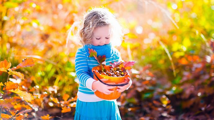 Mädchen mit Eicheln und bunten Blättern im Eimer im Laubwald