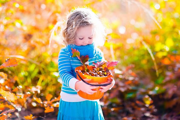 © istock.com/FamVeld Mädchen mit Eicheln und bunten Blättern im Eimer im Laubwald