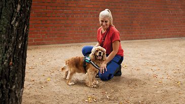 © GURU Eine Frau in der Hocke mit einem kleinen Hund.