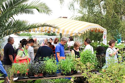 Garten im Sommer mit weißen Zelten