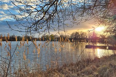 See mit Pampasgräsern und Sonnenuntergang