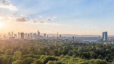 © adobestock.com/d.pix Skyline Frankfurt bei Sonnenuntergang, mit Wolkenkratzern und viel Grünfläche im Vordergrund.