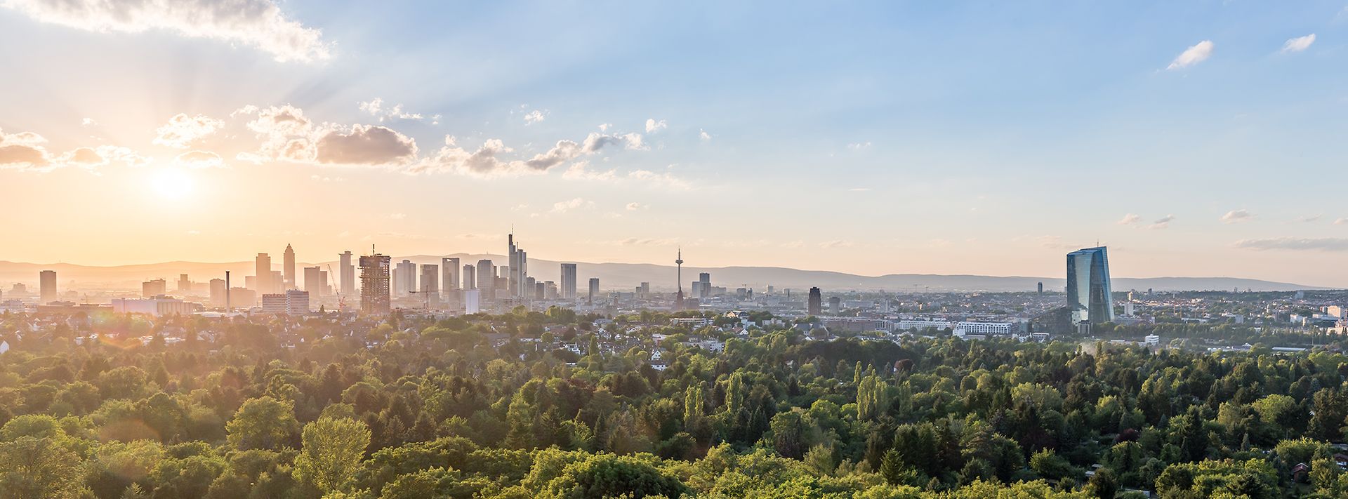 Skyline Frankfurt bei Sonnenuntergang, mit Wolkenkratzern und viel Grünfläche im Vordergrund.