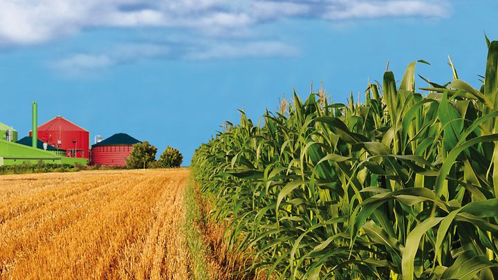 Mainova Gas Bio – Bio-Erdgas für Großunternehmen