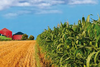 Mainova Gas Bio – Bio-Erdgas für Großunternehmen