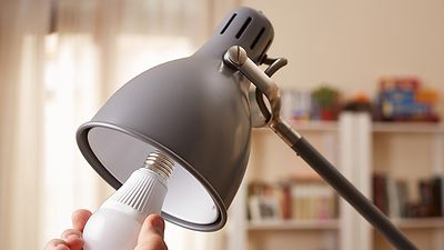 © stock.adobe.com/raimunda-losantos Hand schraubt LED-Lampe aus einer Schreibtischleuchte