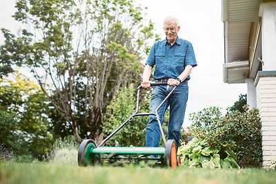 © iStock.com/RyanJLane 03_garten_tipp_est_01_800x533