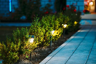 © stock.adobe.com/Grigory Bruev 03_garten_tipp_est_03_800x533