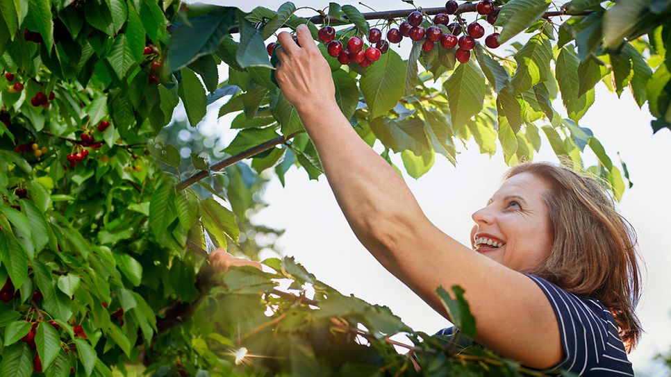 Bild_mainplus_sommer20