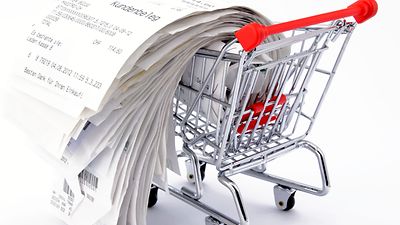 © stock.adobe.com/markus thoenen Symbolbild Berg von Rechnungen im Einkaufwagen