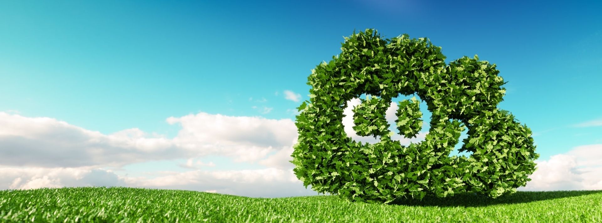 mnv-blog-co2-klimaschutz