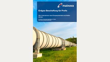 Titelbild des Whitepapers zum Thema "Erdgas-Beschaffung für Profis"