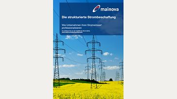 Titelbild des Whitepapers zum Thema "Die strukturierte Strombeschaffung"