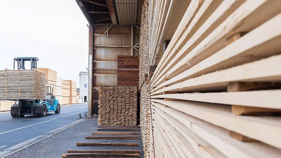 bild_header_senckenberg_ausstellung