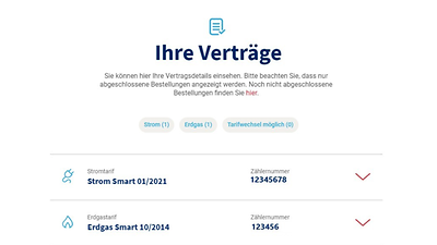 © Mainova AG Screenshot der persönlichen Vetragsübersicht innerhalb des Mainova OnlineService
