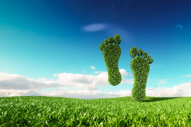Symbolbild: Grüne Wiese und grüne Füße aus Gras vor blauem Himmel