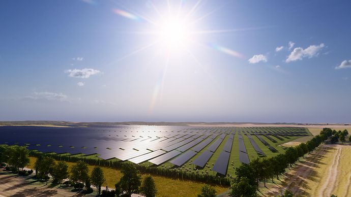 Grünes Feld mit Solaranlagen vor blauem Himmel