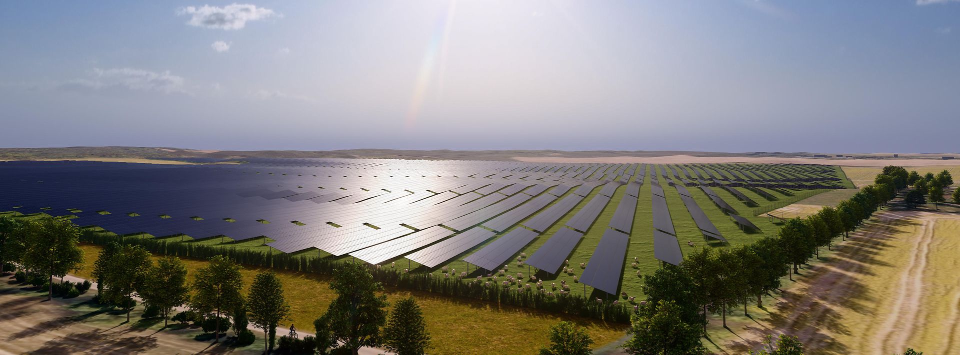 Grünes Feld mit Solaranlagen vor blauem Himmel