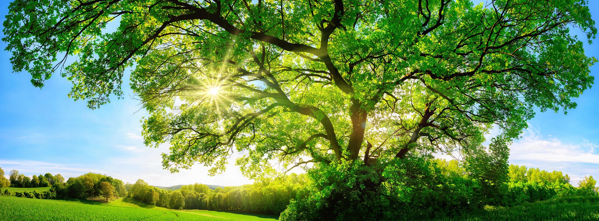 CO2-Management in Unternehmen