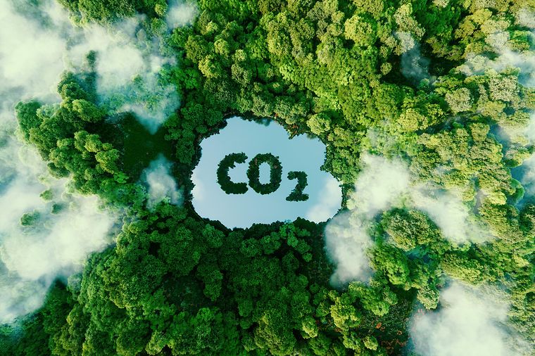 CO2-Management: Emissionen reduzieren