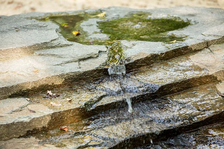 Ein kleiner Wasserfall fließt über mehrere Felsstufen, umgeben von Moos und Blättern.